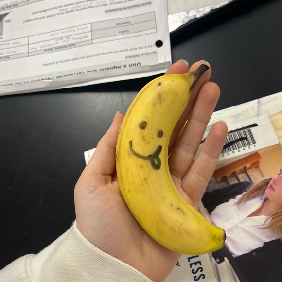 Meet your Posher, Jolie - Picture 1 of 1